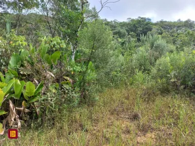 Terreno / Lote / Condomínio à venda, 3780m² no , Águas Mornas