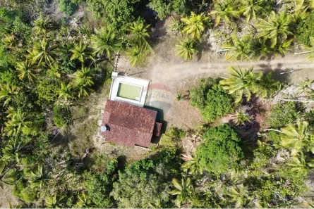 Fazenda / Sítio / Chácara com 2 Quartos à venda, 166999m² no Mituaçu, Conde