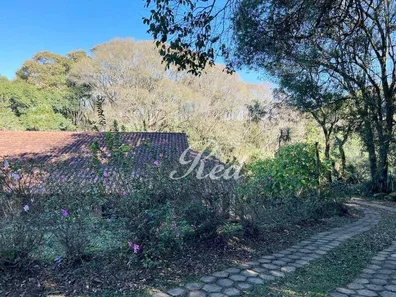 Fazenda / Sítio / Chácara com 3 Quartos à venda, 51000m² no Piedade, Piedade