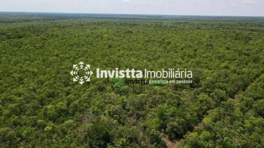 Fazenda / Sítio / Chácara à venda, 530m² no Centro, Pium