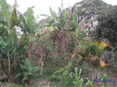Fazenda / Sítio / Chácara com 3 Quartos à venda, 150m² no Chácara Itapoã, Jacareí