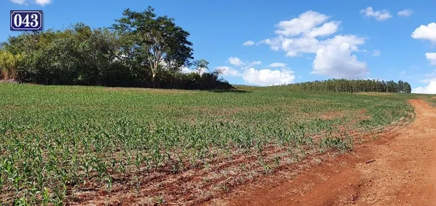 Terreno / Lote / Condomínio à venda, 208000m² no Rodovia, Sertanópolis