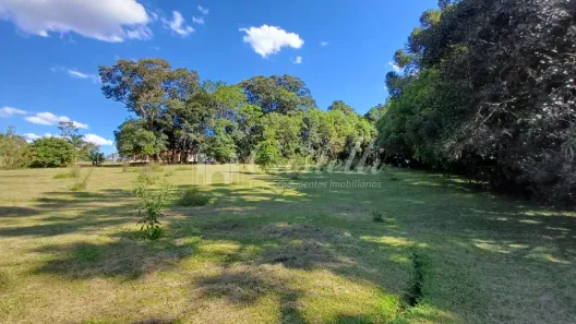 Fazenda / Sítio / Chácara à venda, 5400m² no Piriquitos, Ponta Grossa