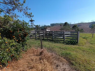 Fazenda / Sítio / Chácara com 2 Quartos à venda, 210m² no , Pilar do Sul