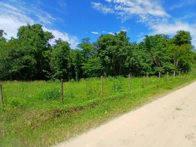 Fazenda / Sítio / Chácara com 2 Quartos à venda, 20000m² no Bazílio, Rio Bonito