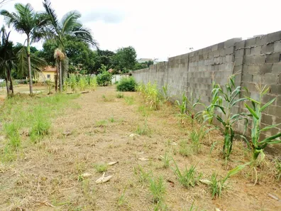 Terreno / Lote / Condomínio para alugar, 4250m² no Jardim Celina, Limeira