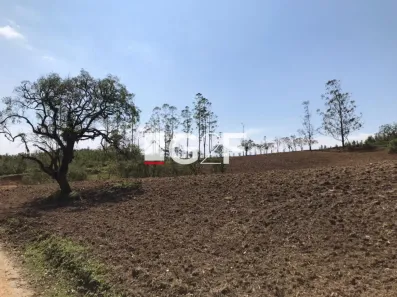 Fazenda / Sítio / Chácara com 3 Quartos à venda, 92000m² no , Pilar do Sul