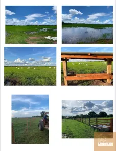 Fazenda / Sítio / Chácara com 2 Quartos à venda, 8391m² no , Formoso do Araguaia