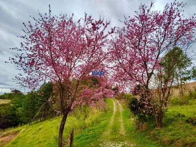 Terreno / Lote / Condomínio à venda, 100170m² no , Contenda