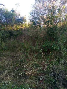 Terreno / Lote Comercial à venda, 24200m² no Pinheiro, Ibiporã