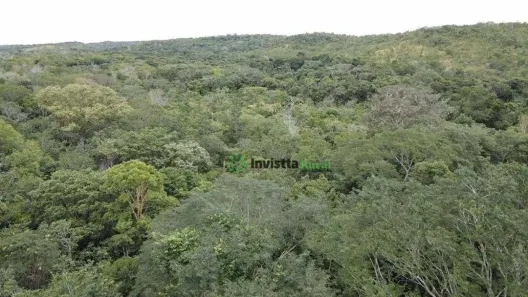 Fazenda / Sítio / Chácara com 1 Quarto à venda, 480m² no , Pedro Afonso