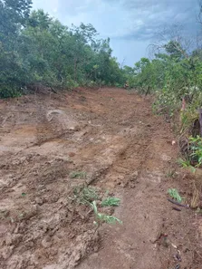 Fazenda / Sítio / Chácara à venda, 142m² no , Lagoa da Confusão