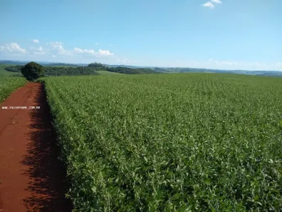 Terreno / Lote Comercial à venda, 90750m² no , Assaí