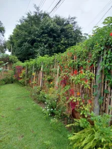 Fazenda / Sítio / Chácara com 2 Quartos à venda, 85m² no Vila Moraes, Mogi das Cruzes