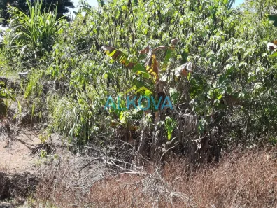 Fazenda / Sítio / Chácara com 2 Quartos à venda, 200m² no Chácara Santa Cecília, Caçapava
