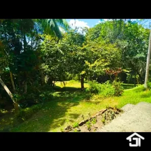 Fazenda / Sítio / Chácara com 4 Quartos à venda, 8000m² no Sao Lourenco, Juquitiba
