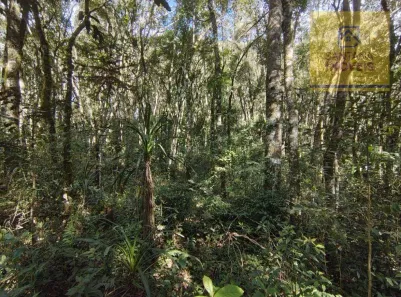 Terreno / Lote / Condomínio à venda, 240000m² no Itaqui de Cima, Campo Largo