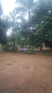 Fazenda / Sítio / Chácara com 5 Quartos à venda, 20000m² no Ponte Alta Norte, Brasília