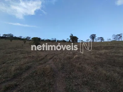 Fazenda / Sítio / Chácara à venda, 80000m² no , Florestal