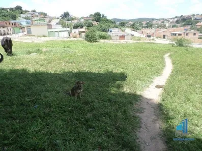 Terreno / Lote / Condomínio à venda, 5600m² no Alicante, Ribeirão das Neves