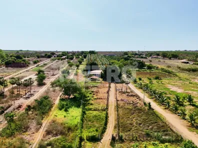 Fazenda / Sítio / Chácara à venda, 84000m² no Pedrinhas, Petrolina