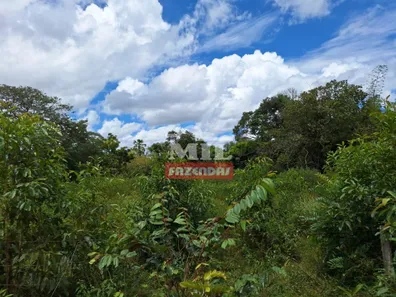 Fazenda / Sítio / Chácara à venda, 500m² no Setor Central, Ponte Alta do Tocantins