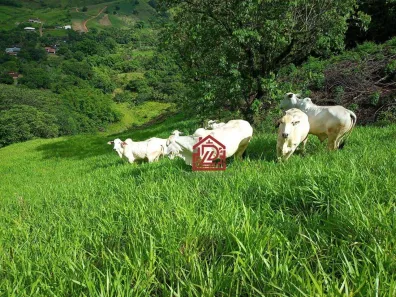 Fazenda / Sítio / Chácara com 5 Quartos à venda, 340m² no Sana, Macaé