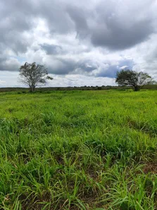 Fazenda / Sítio / Chácara com 4 Quartos à venda, 3260000m² no sítio 304, 