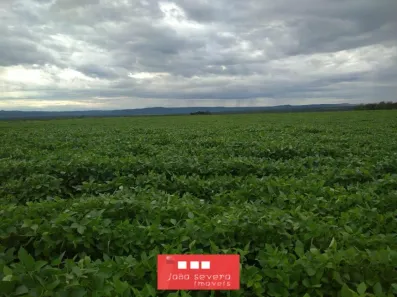 Fazenda / Sítio / Chácara à venda, 7986000m² no , Silvanópolis