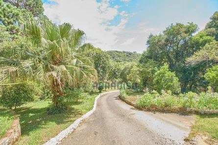 Fazenda / Sítio / Chácara com 10 Quartos à venda, 4800m² no Capivari, Colombo