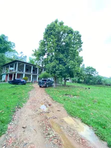 Fazenda / Sítio / Chácara com 4 Quartos à venda, 400m² no Capivari, Duque de Caxias