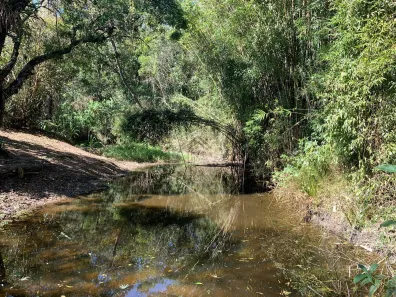 Fazenda / Sítio / Chácara com 3 Quartos à venda, 240000m² no Centro, Bom Jesus dos Perdões