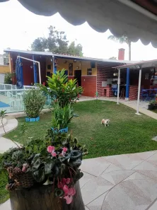 Fazenda / Sítio / Chácara com 3 Quartos à venda, 200m² no Centro (Vargem Alegre), Barra do Piraí