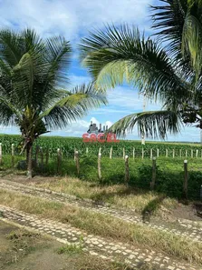 Fazenda / Sítio / Chácara à venda, 27m² no , Nossa Senhora das Dores