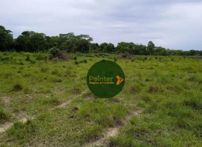 Fazenda / Sítio / Chácara à venda, 4410450m² no , Ponte Alta do Tocantins