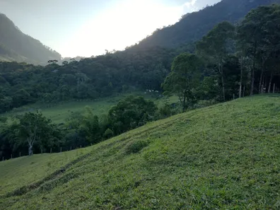 Fazenda / Sítio / Chácara com 3 Quartos à venda, 300000m² no Área Rural de Macaé, Macaé