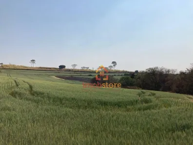 Terreno / Lote Comercial à venda, 91474m² no Parque Industrial, Ibiporã