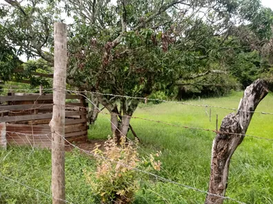 Fazenda / Sítio / Chácara com 2 Quartos à venda, 2800m² no Arapoanga, Brasília