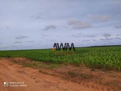 Fazenda / Sítio / Chácara à venda, 28920452m² no , Pedro Afonso