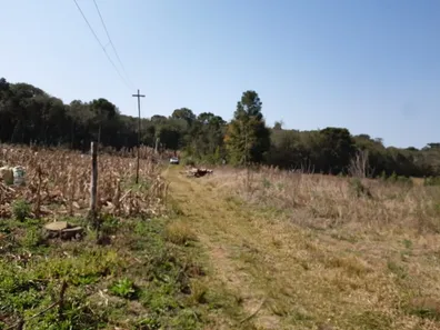 Fazenda / Sítio / Chácara com 3 Quartos à venda, 6000m² no , Contenda