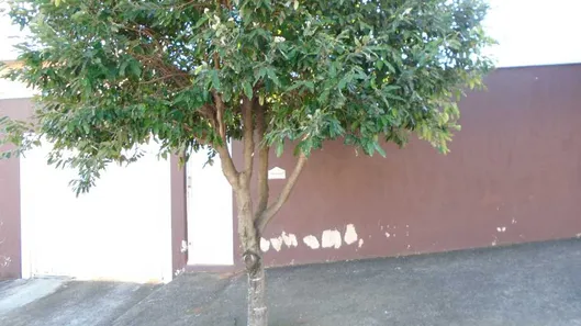 Sobrado com 3 Quartos à venda, 273m² no Chácara Santo Antônio, Cosmópolis