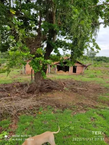 com 1 Quarto à venda, 320m² no , Pedro Afonso