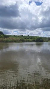 Fazenda / Sítio / Chácara à venda, 4500000m² no zona rural, Ielmo Marinho