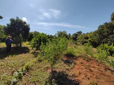 Fazenda / Sítio / Chácara com 4 Quartos à venda, 149000m² no Jardim Roriz, Brasília