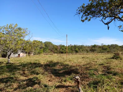 Fazenda / Sítio / Chácara à venda, 25000m² no , Brasília