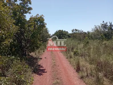 Fazenda / Sítio / Chácara à venda, 500m² no , Pium