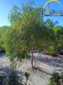 Terreno / Lote / Condomínio à venda, 900m² no Busca Vida (Abrantes), Camaçari