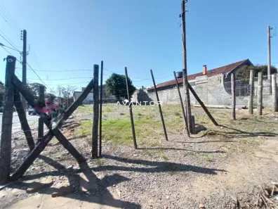 Terreno / Lote / Condomínio para alugar, 480m² no Patronato, Santa Maria