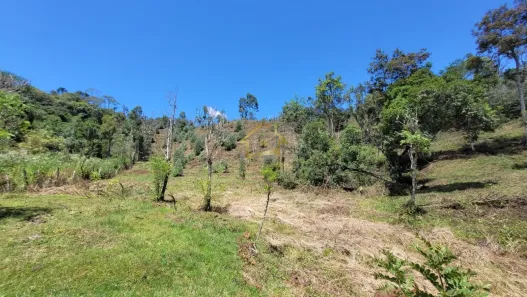 Terreno / Lote / Condomínio à venda, 63000m² no Jardim da Colina, Campina Grande do Sul