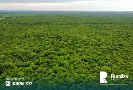 Fazenda / Sítio / Chácara à venda, 600m² no , Pium
